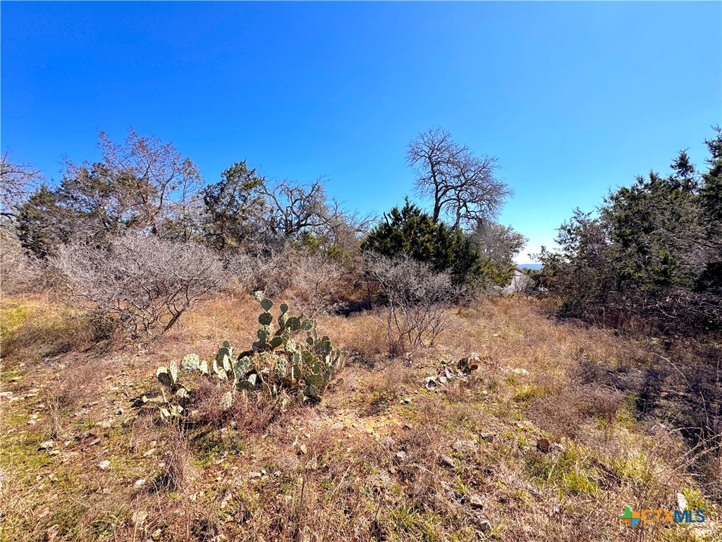 172 Rayner Court Property Photo 11