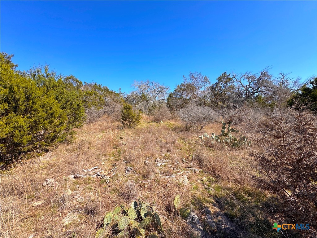 172 Rayner Court Property Photo 12