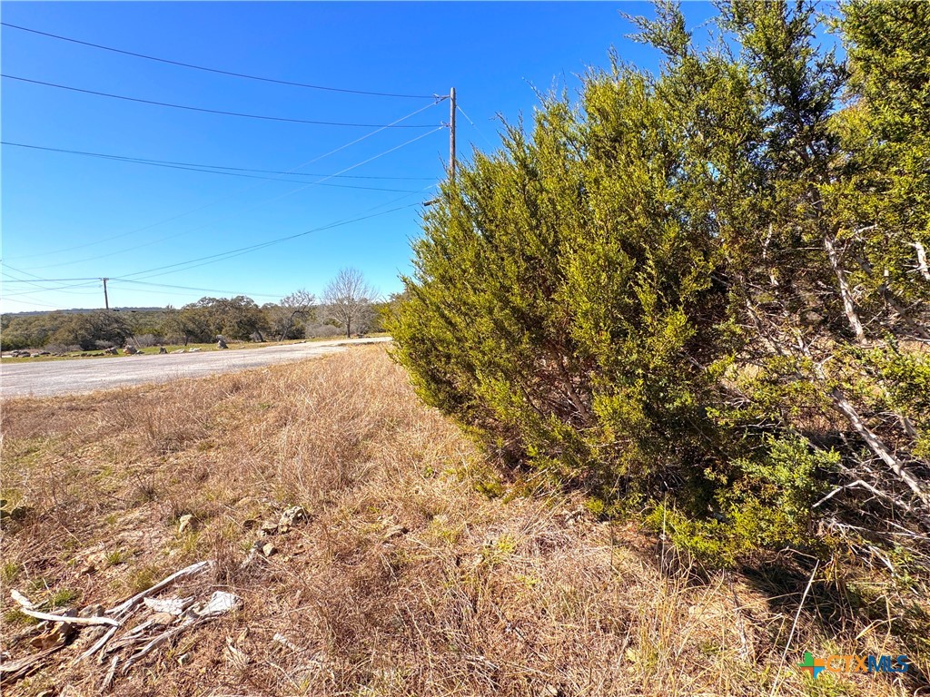 172 Rayner Court Property Photo 13