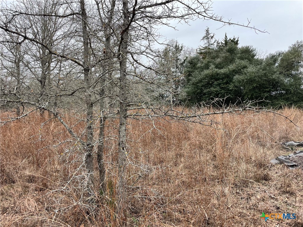 00 Mule Creek Road Property Photo 2