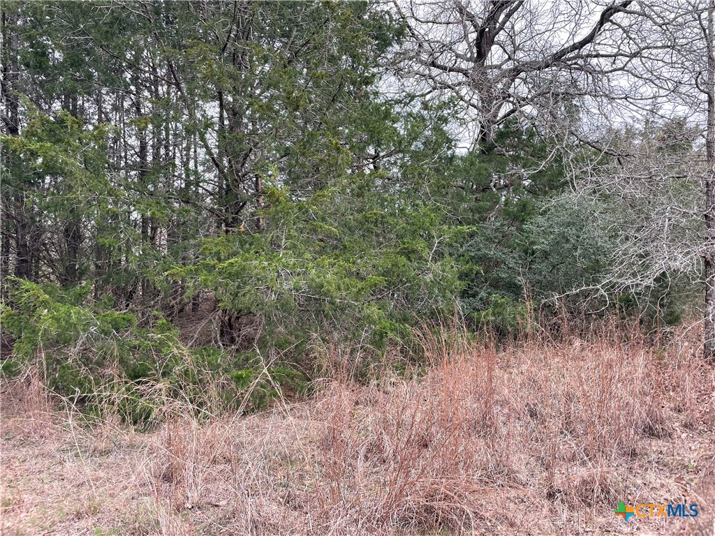 00 Mule Creek Road Property Photo 3