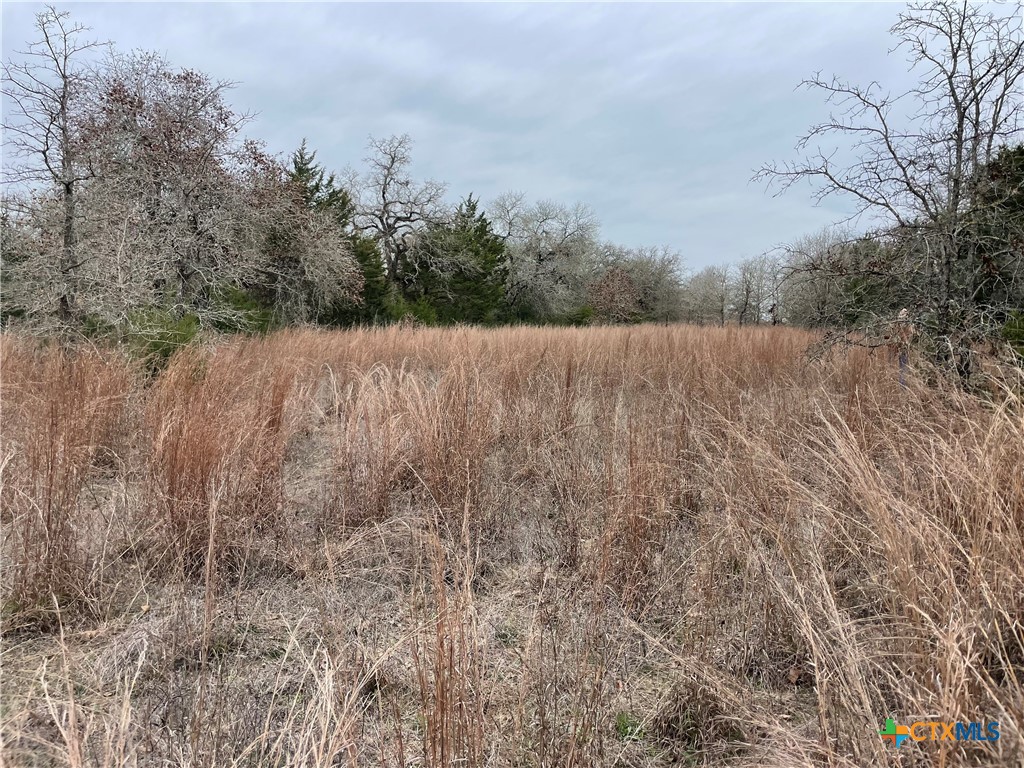 00 Mule Creek Road Property Photo 4