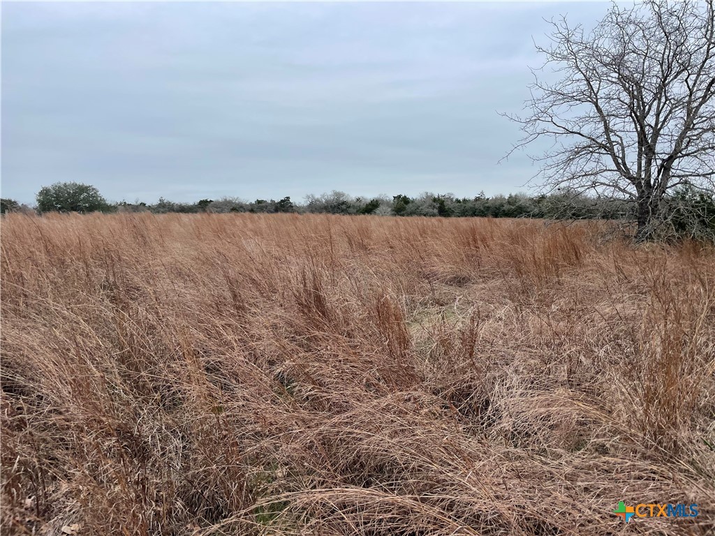 00 Mule Creek Road Property Photo 6