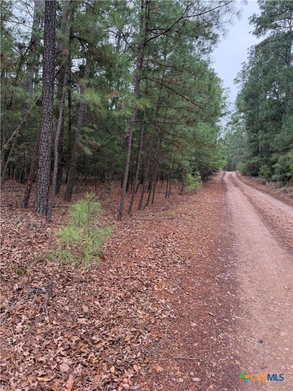 000 Red Fox Road Property Photo 2