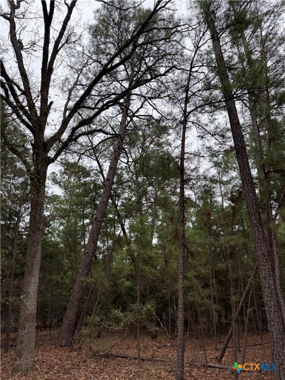 000 Red Fox Road Property Photo 3