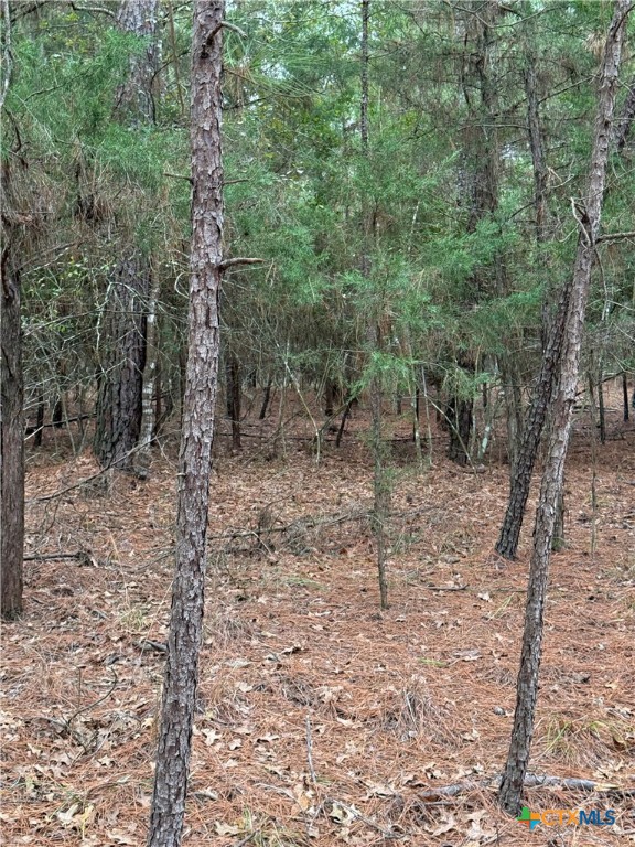 000 Red Fox Road Property Photo 4