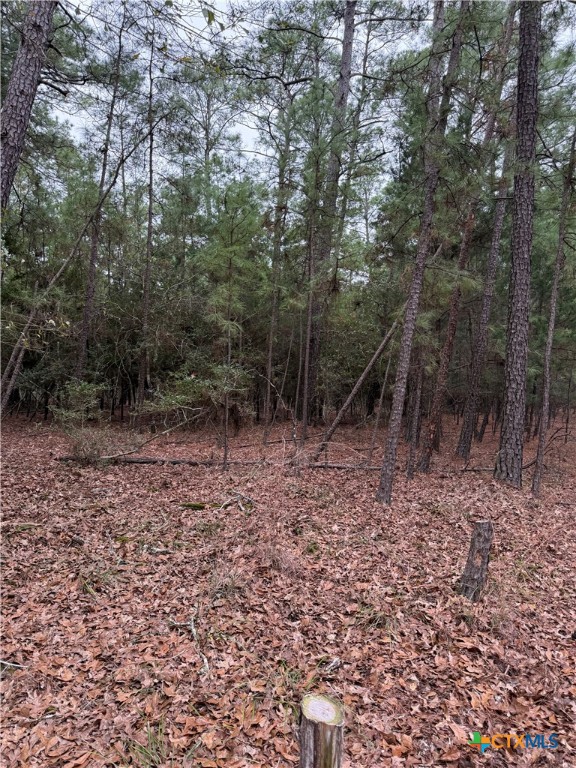 000 Red Fox Road Property Photo 5