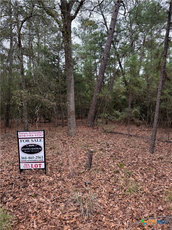 000 Red Fox Road Property Photo 6