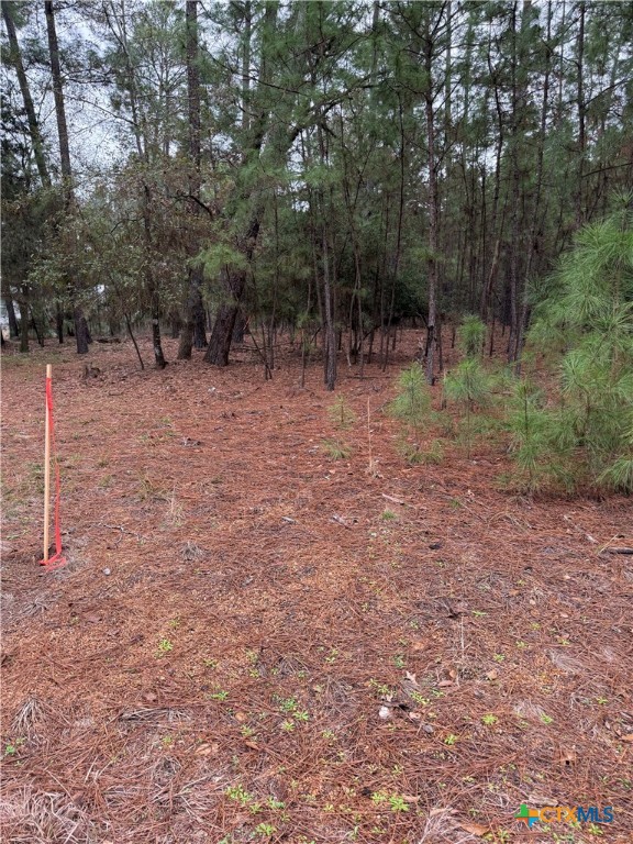 000 Red Fox Road Property Photo 8