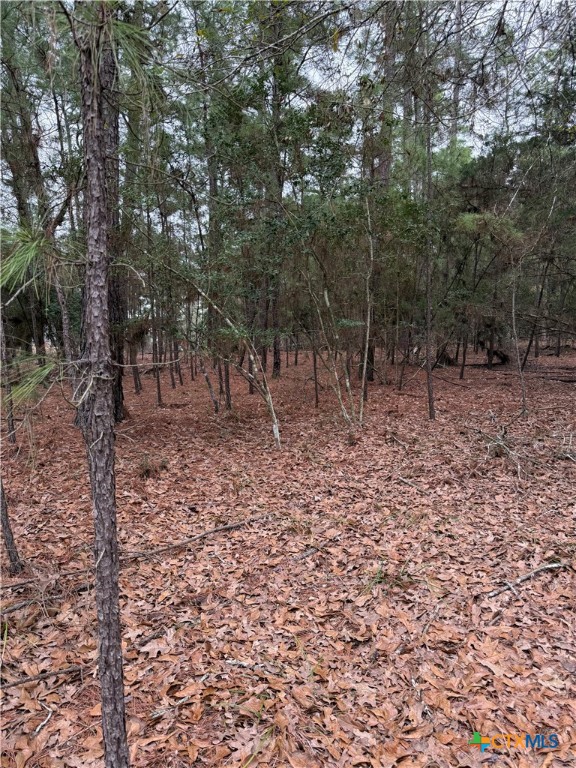 000 Red Fox Road Property Photo 9