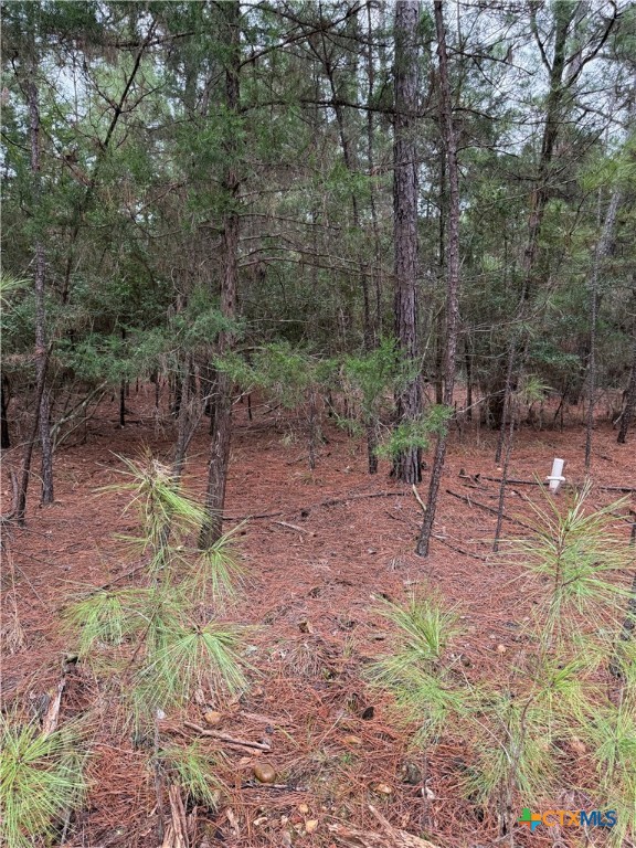 000 Red Fox Road Property Photo 10