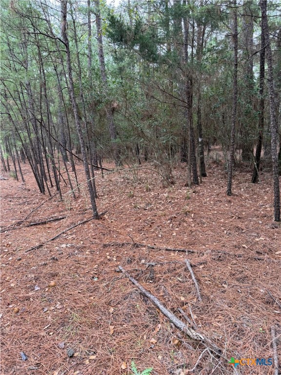 000 Red Fox Road Property Photo 11