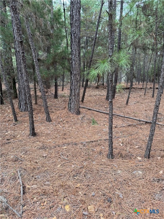 000 Red Fox Road Property Photo 12