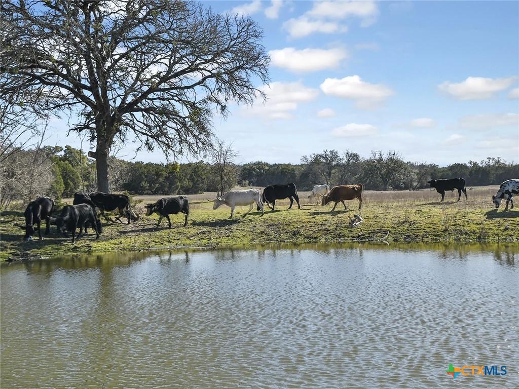 20949 Firefly Road Property Photo 3
