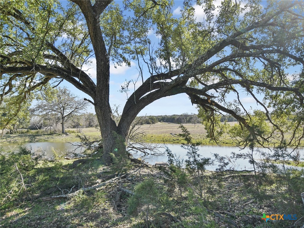 20949 Firefly Road Property Photo 5