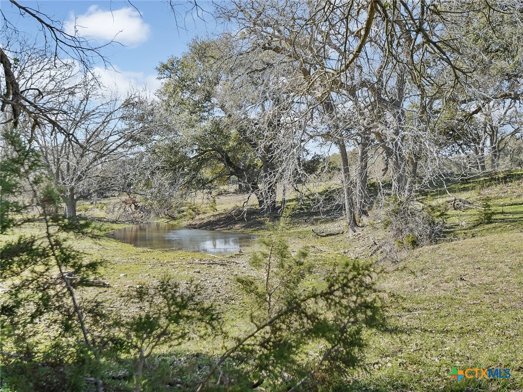 20949 Firefly Road Property Photo 8