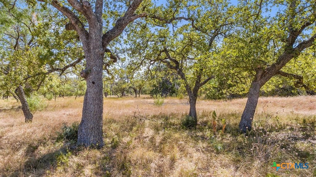 18.145 Acres Herber-schaefer Road Property Photo 2