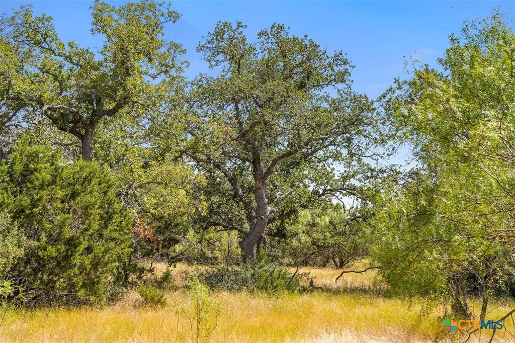 18.145 Acres Herber-schaefer Road Property Photo 4
