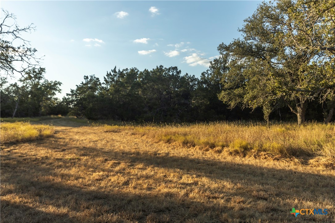 18.145 Acres Herber-schaefer Road Property Photo 11