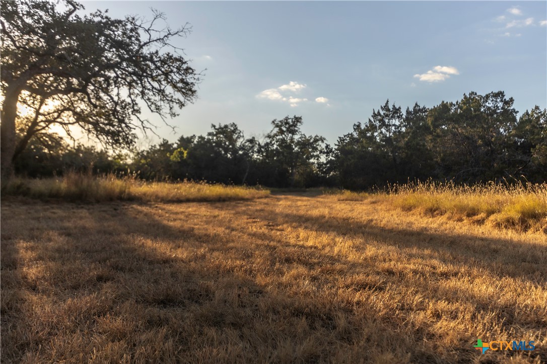 18.145 Acres Herber-schaefer Road Property Photo 14