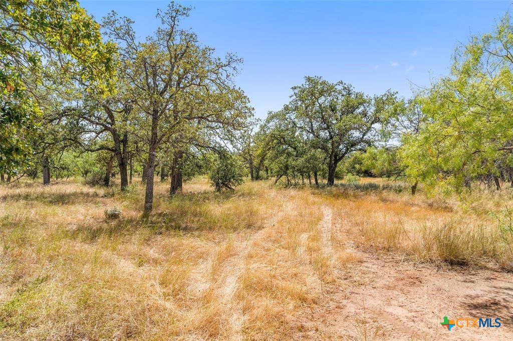 18.145 Acres Herber-schaefer Road Property Photo 17