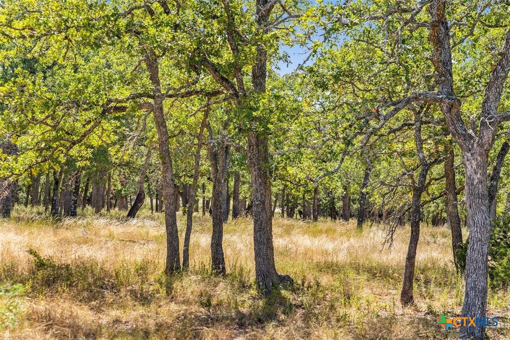 18.145 Acres Herber-schaefer Road Property Photo 22