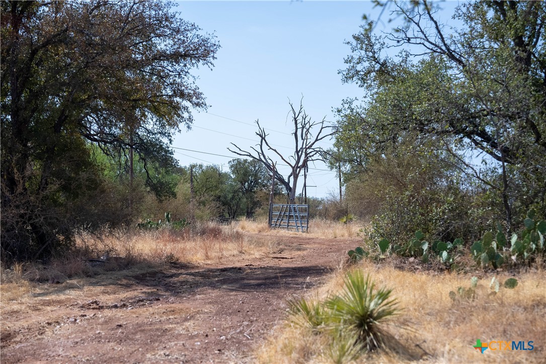 Tbd W Ranch Road 152 Property Photo 22