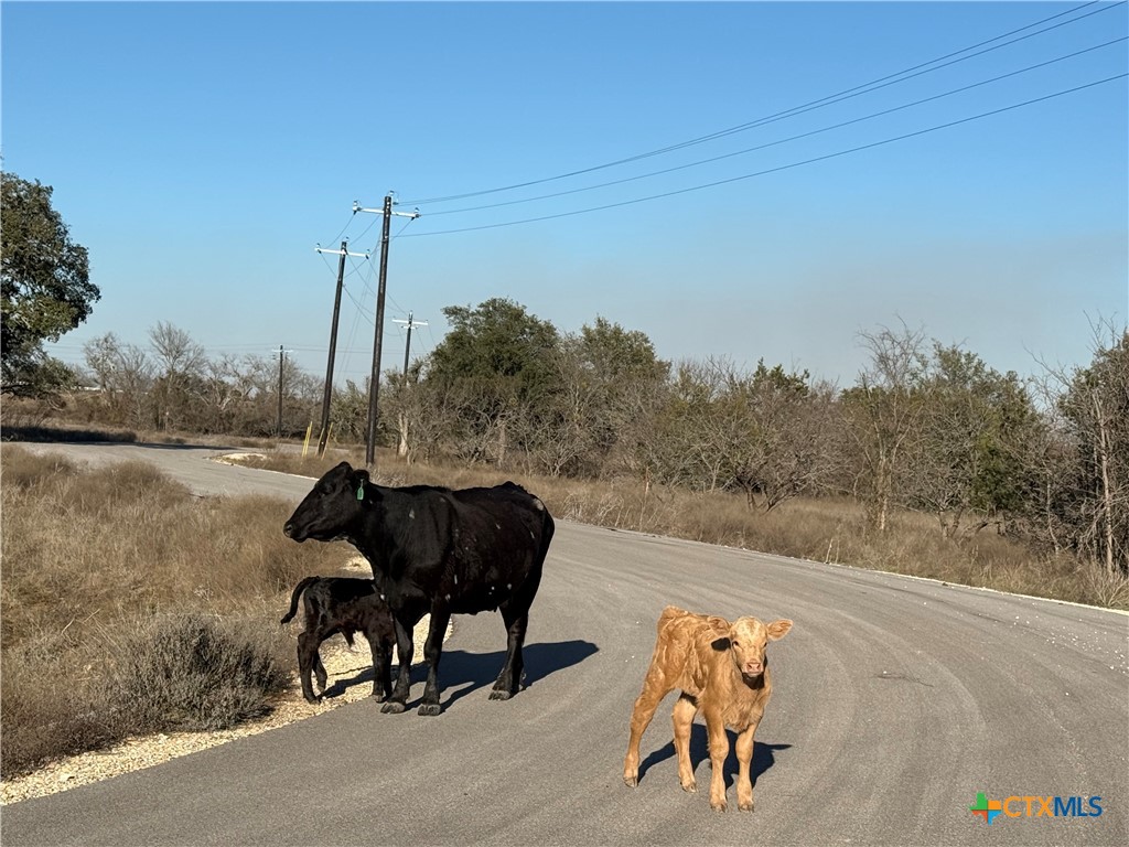 Tbd King Ranch Trail Property Photo 3