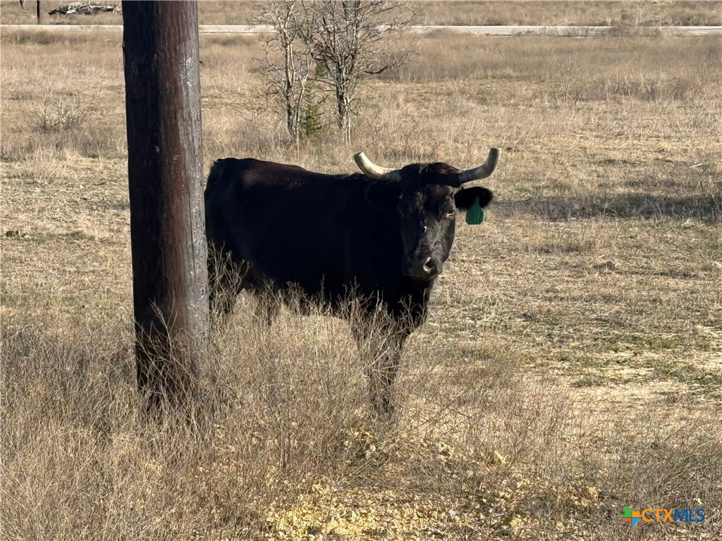 Tbd King Ranch Trail Property Photo 4