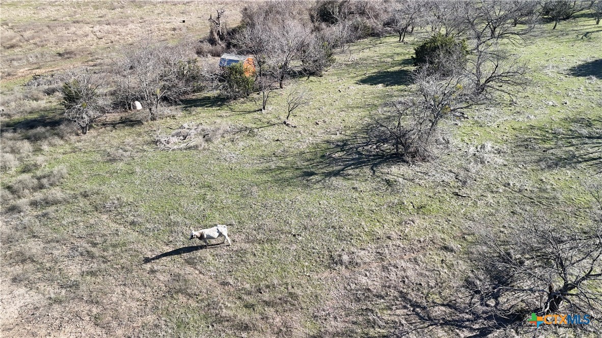 Tbd King Ranch Trail Property Photo 10