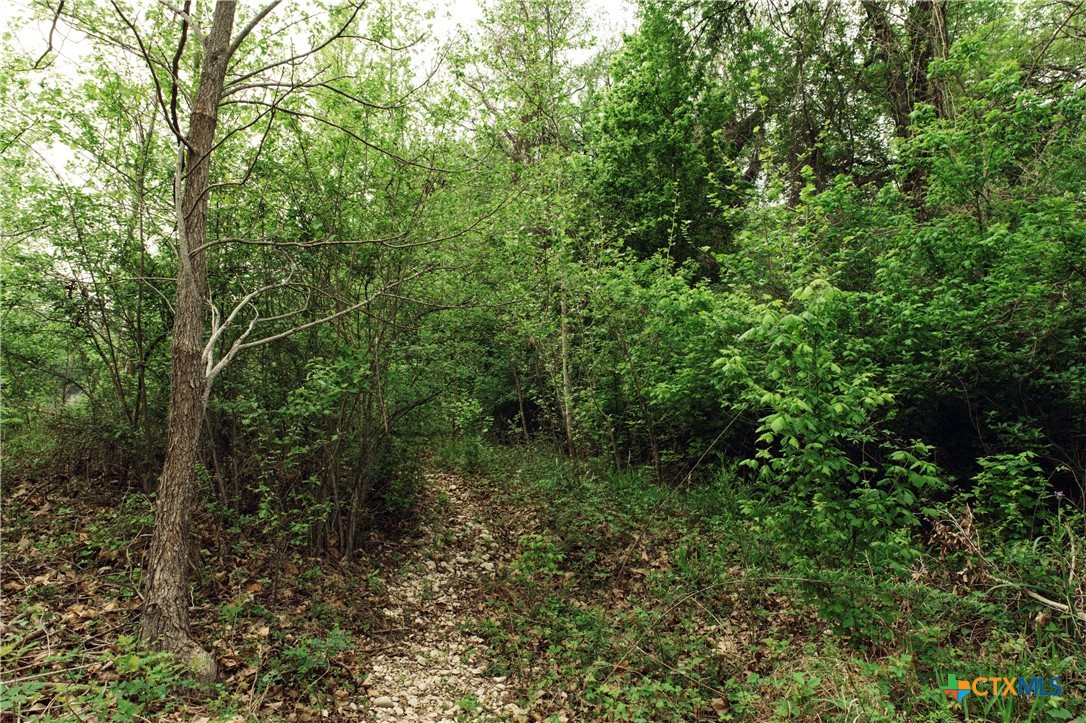 1061 Martindale Falls Road Property Photo 13