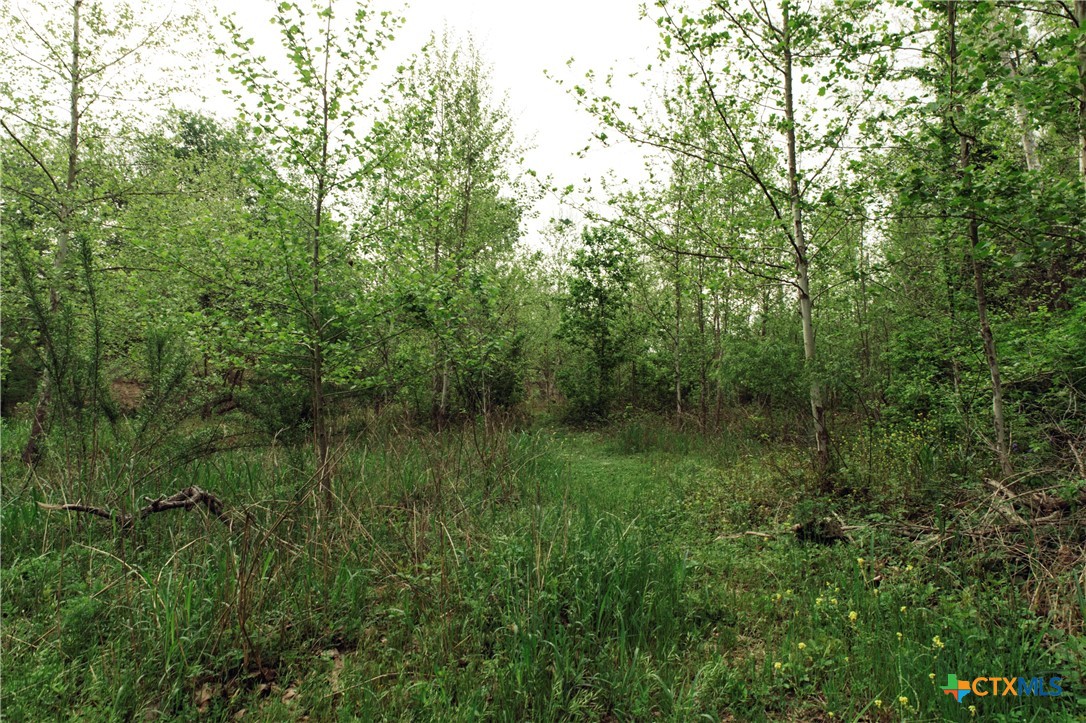 1061 Martindale Falls Road Property Photo 18