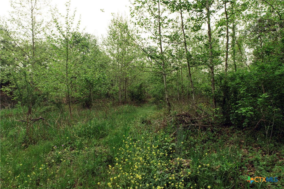 1061 Martindale Falls Road Property Photo 20