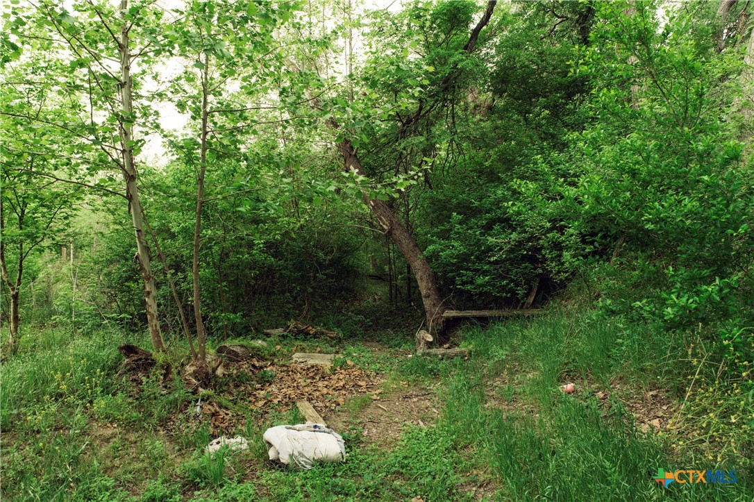 1061 Martindale Falls Road Property Photo 24