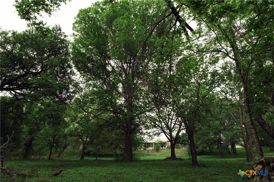 1061 Martindale Falls Road Property Photo 28