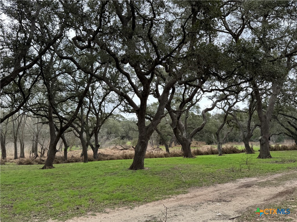 96 Reeves Ranch Road Property Photo 7