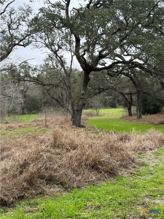 96 Reeves Ranch Road Property Photo 8