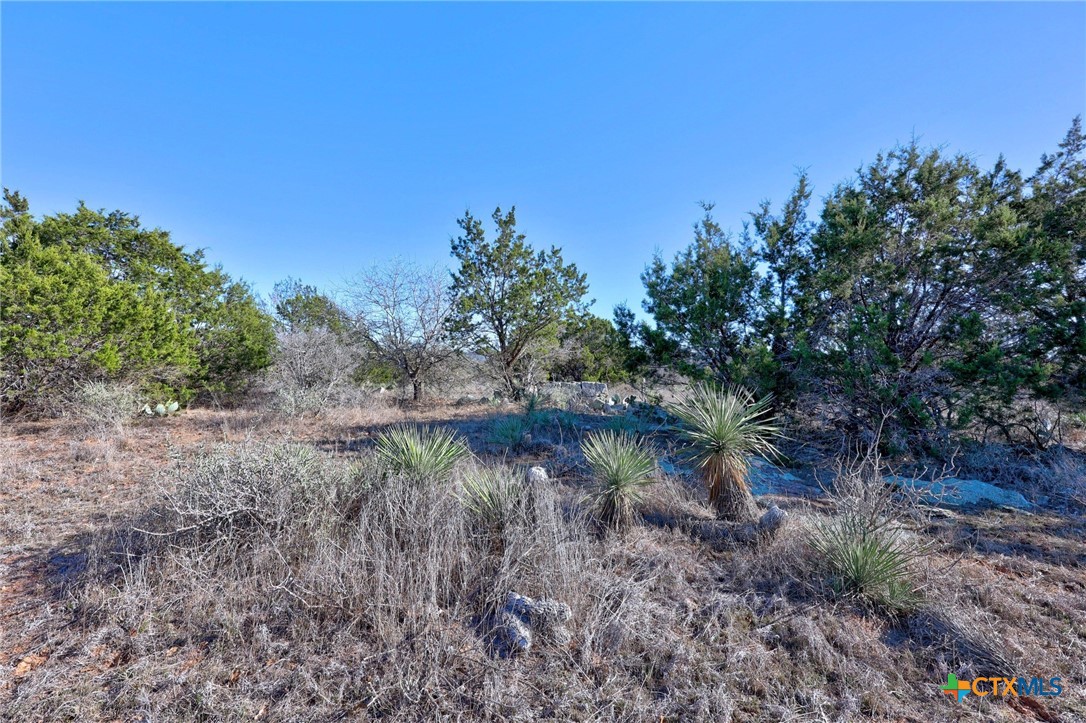 901 Rocky Hollow Drive Property Photo 11