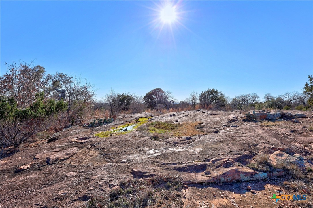 901 Rocky Hollow Drive Property Photo 16
