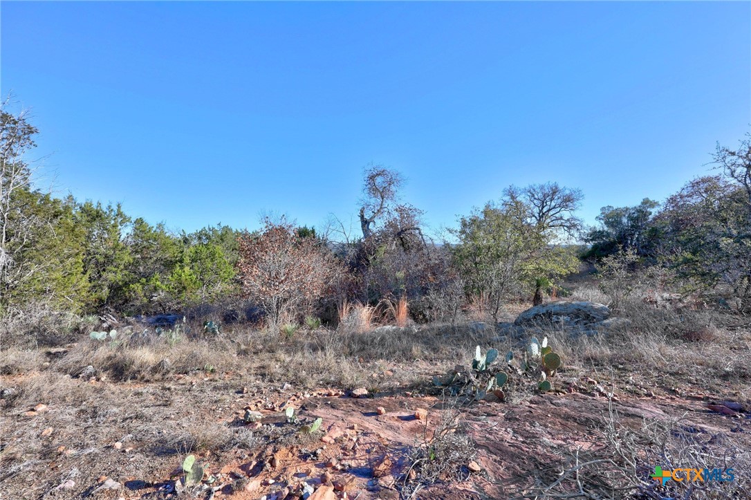 901 Rocky Hollow Drive Property Photo 24