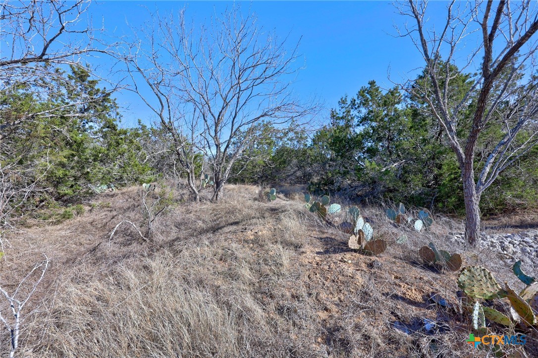 901 Rocky Hollow Drive Property Photo 34