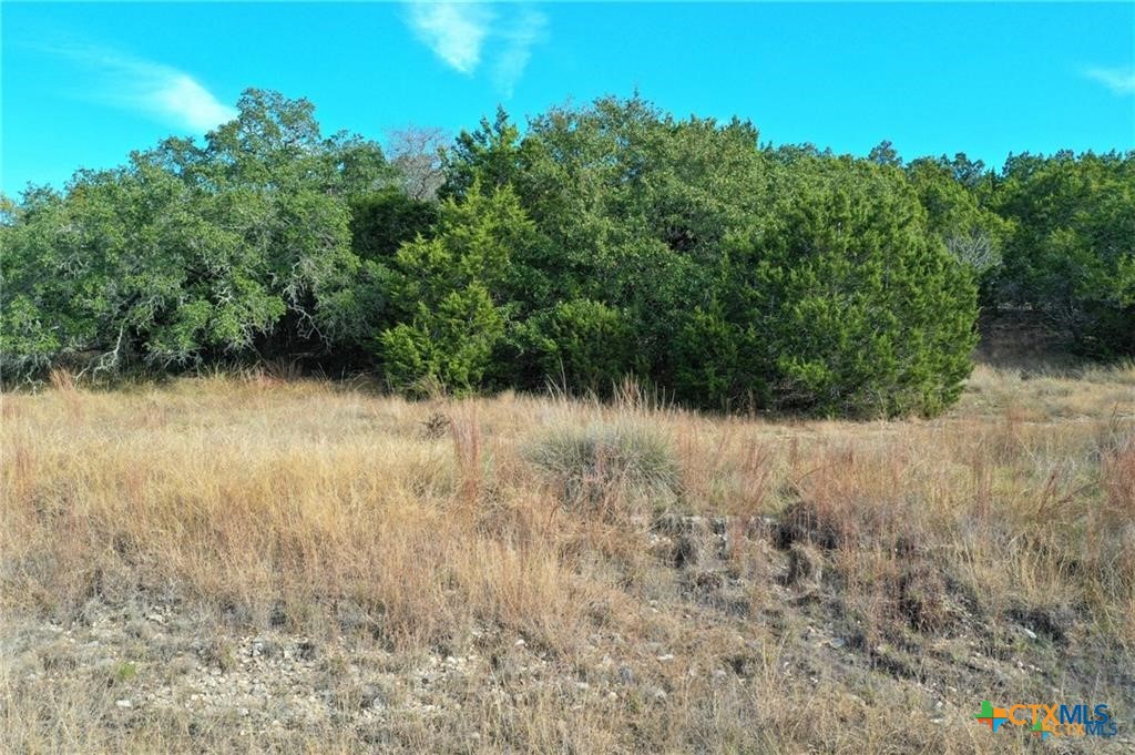 111 Dodder Lane Property Photo 8