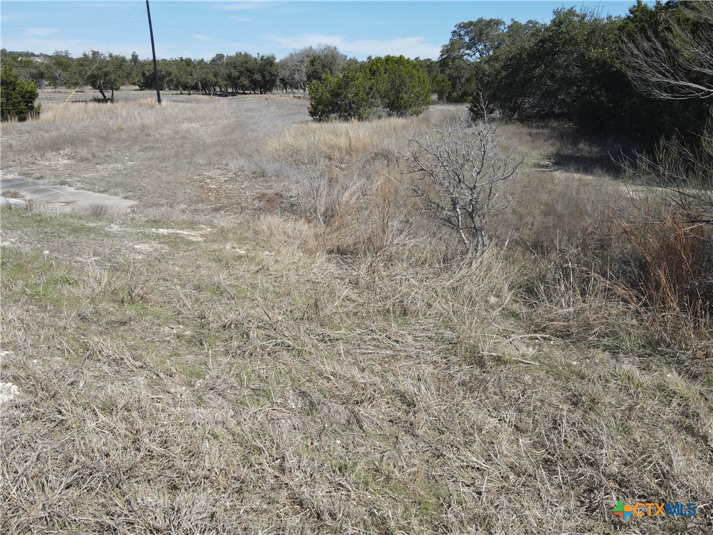111 Dodder Lane Property Photo 17
