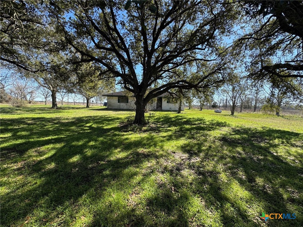 7181 Fm 1300 Road Property Photo 10