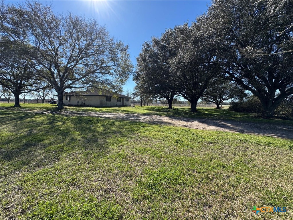 7181 Fm 1300 Road Property Photo 11