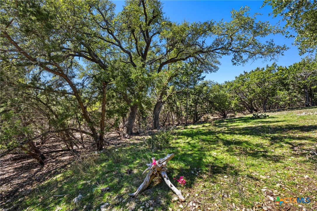 541 Herauf Drive Property Photo 3