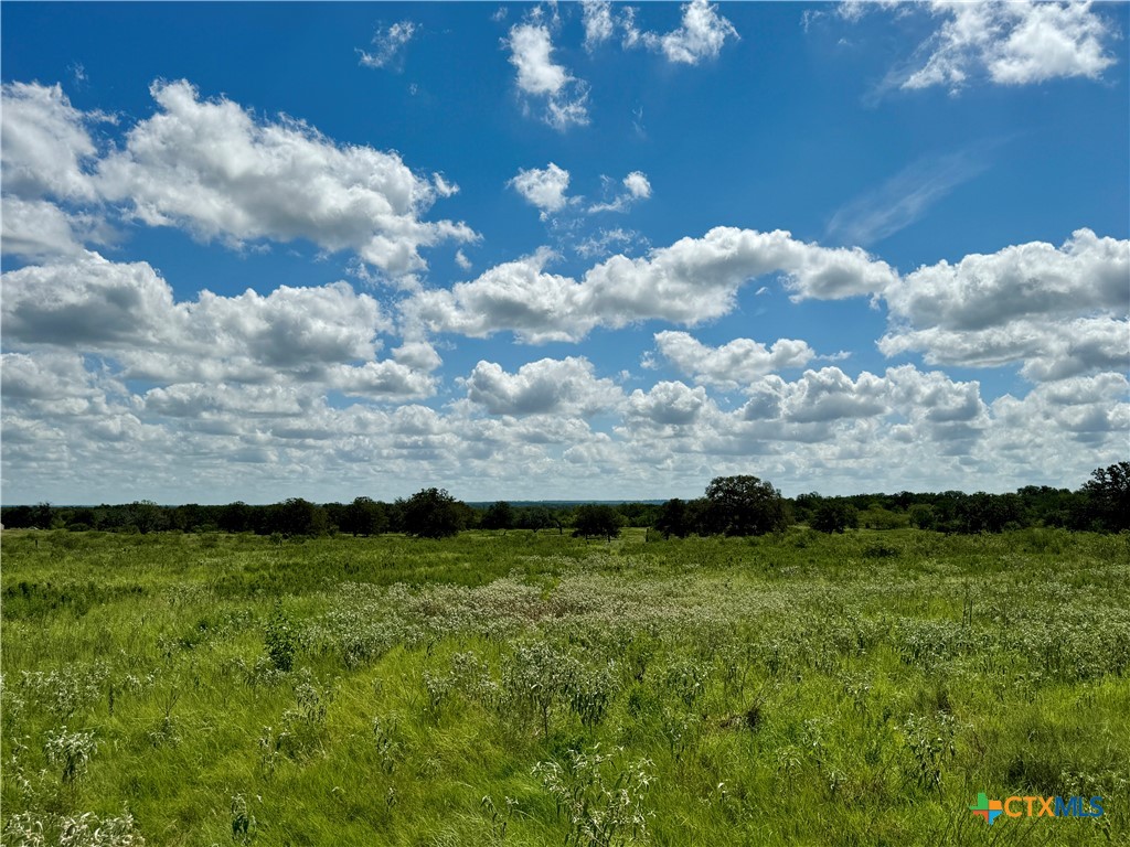 Stockdale Isd Real Estate Listings Main Image
