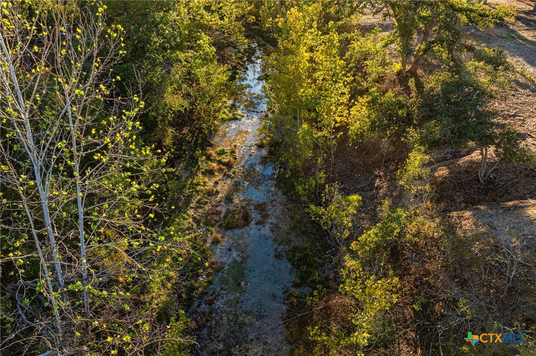 Tbd Fm 2843 Property Photo 7