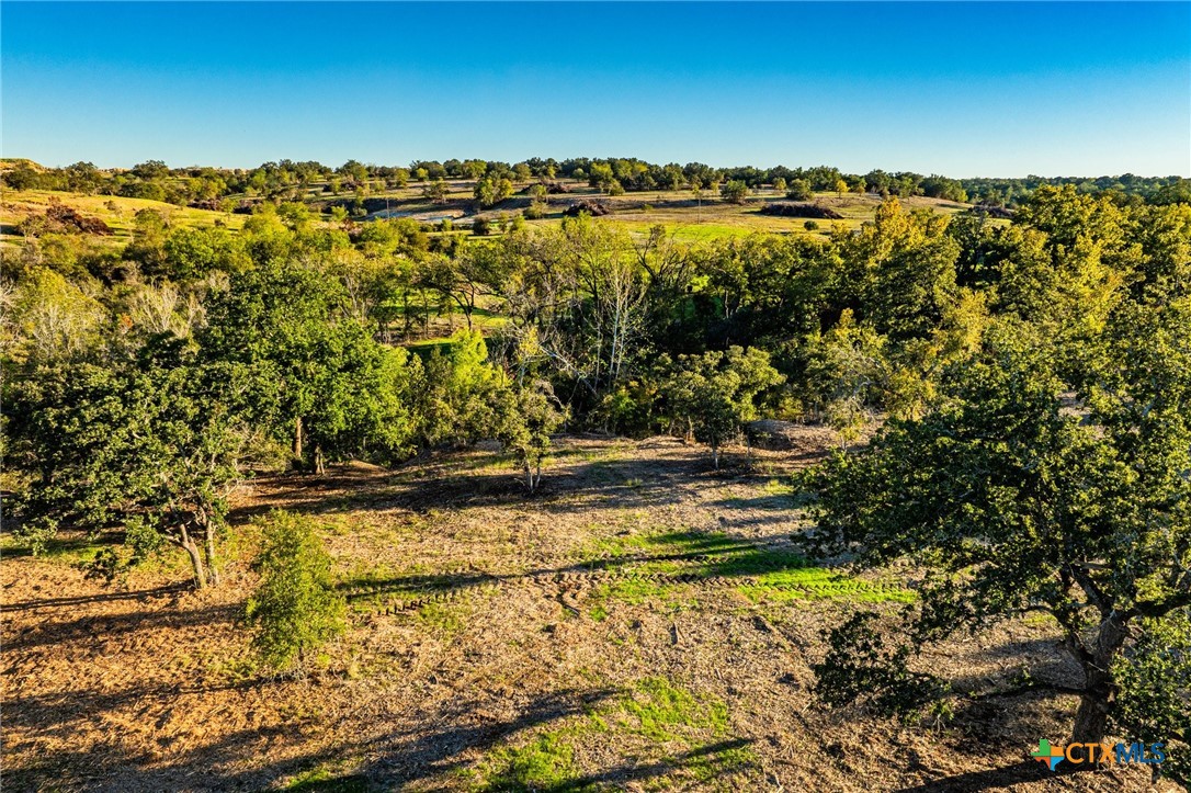 Tbd Fm 2843 Property Photo 9