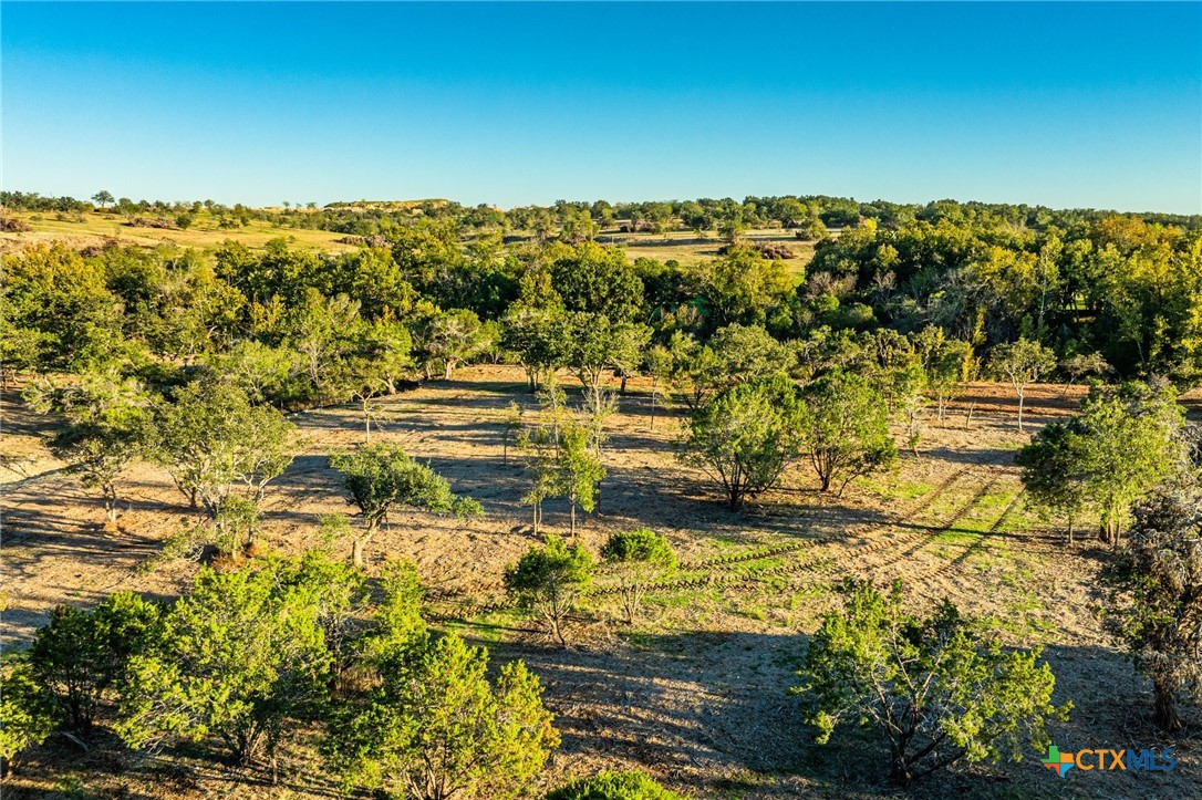 Tbd Fm 2843 Property Photo 11